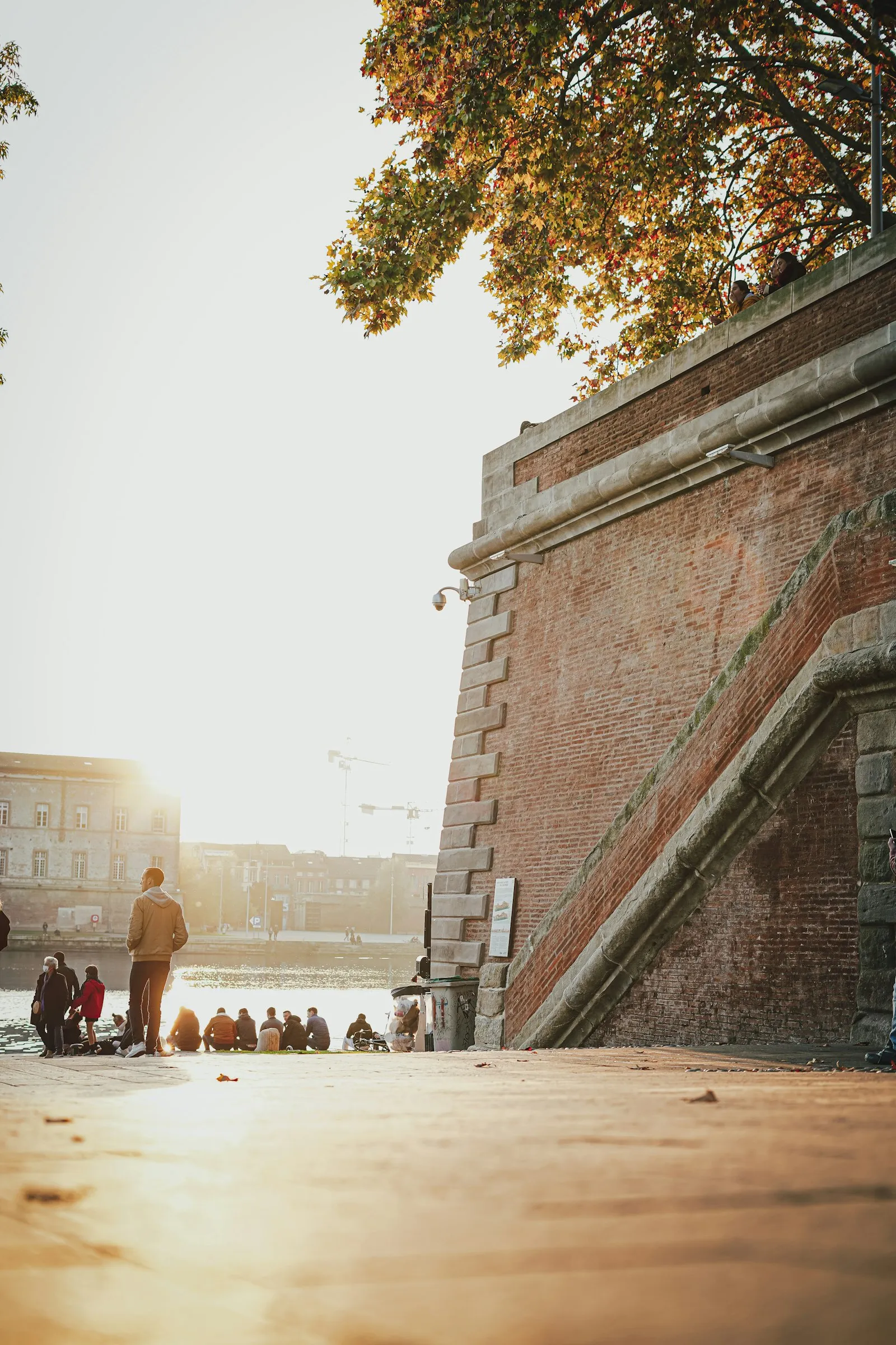 Rue animée de Toulouse